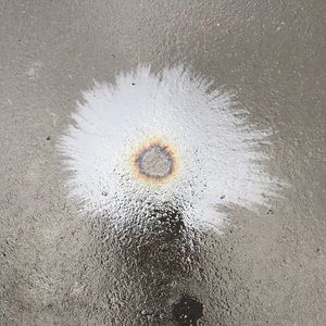 Meet your Posher, Desara